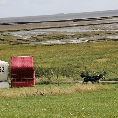 Kapitanshaus In Front Of Sylt *
